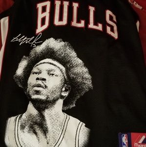 Bulls Wallace jersey